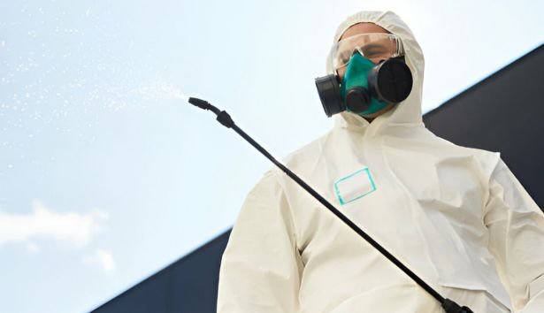 Pest Control Glenferrie